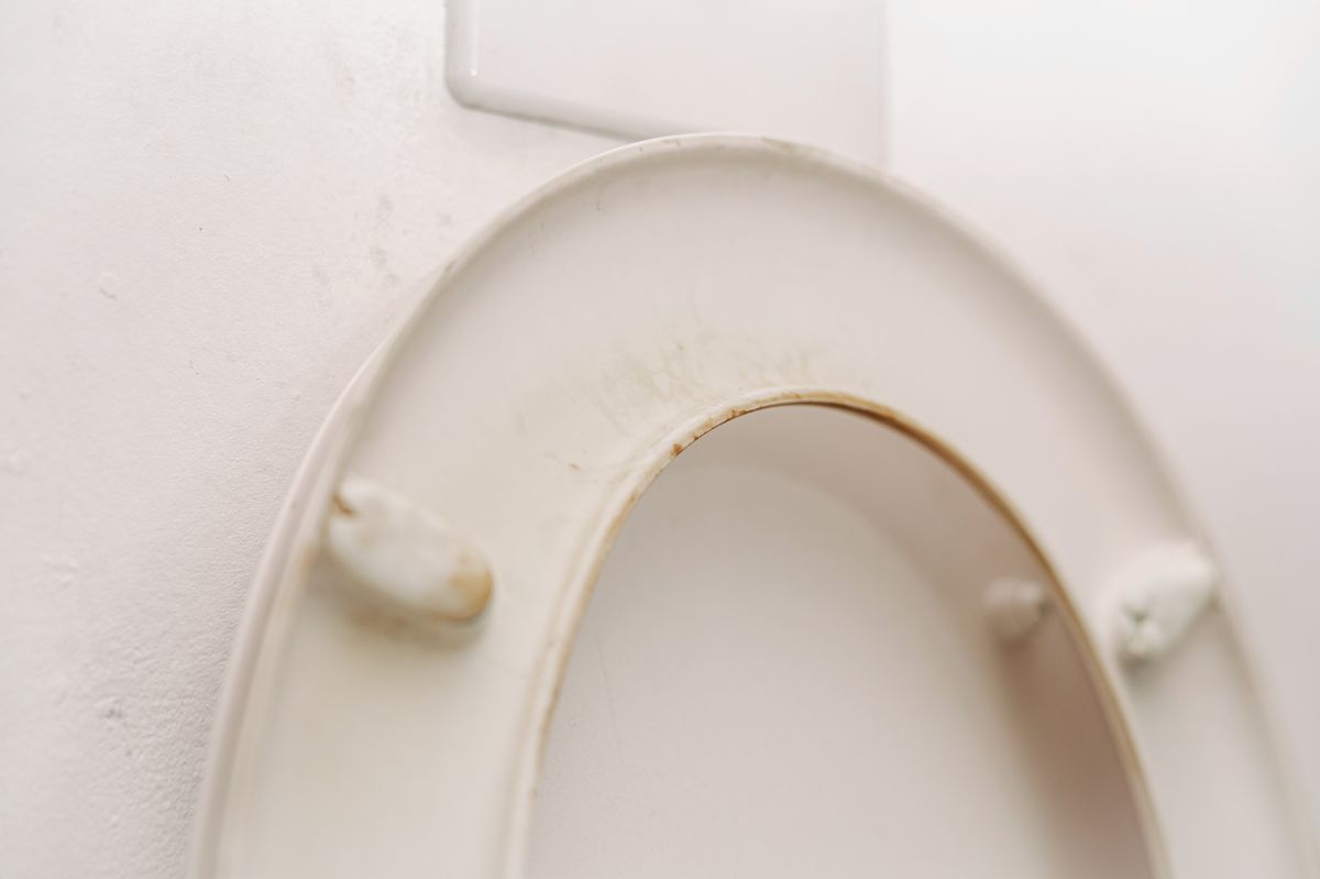 Cleaning hacks: Surprising household items for spotless toilet seats