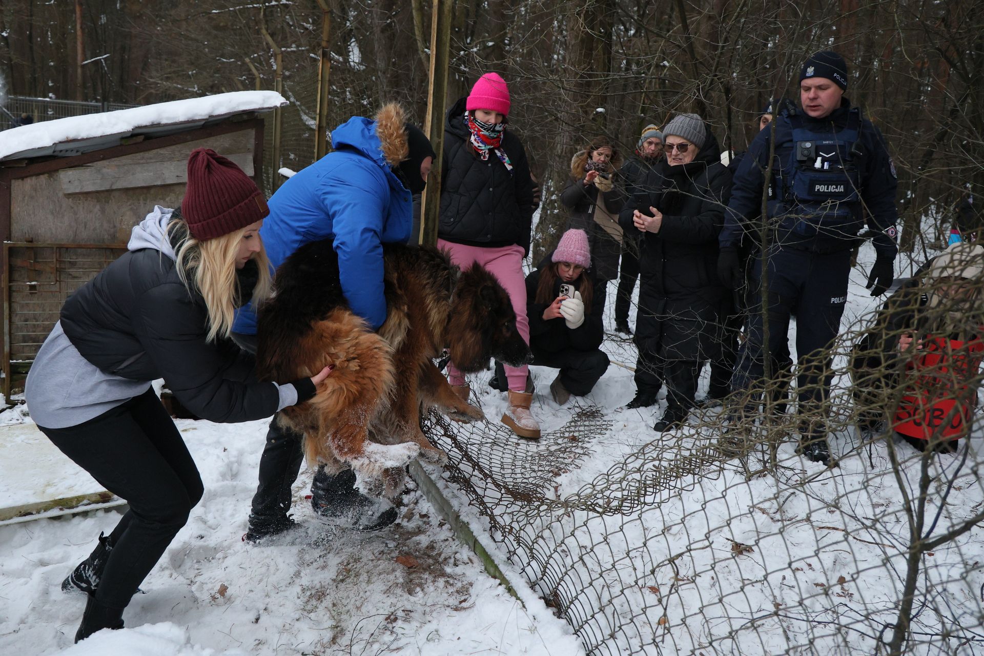 wiadomości,aktualności,WP Wiadomości NIK wkracza do Sobolewa. Rusza kontrola po aferze w schronisku