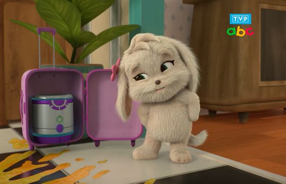 Ważny kanał TVP bez reklam? Telewizja Polska odpowiada