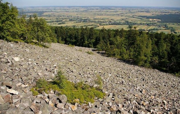 Cenne odkrycie polskich paleontologów w Górach Świętokrzyskich