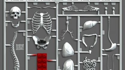 Klocek LEGO w każdym z nas? 1