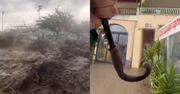 Dramat w Chorwacji. Porażające nagranie z Podgory
