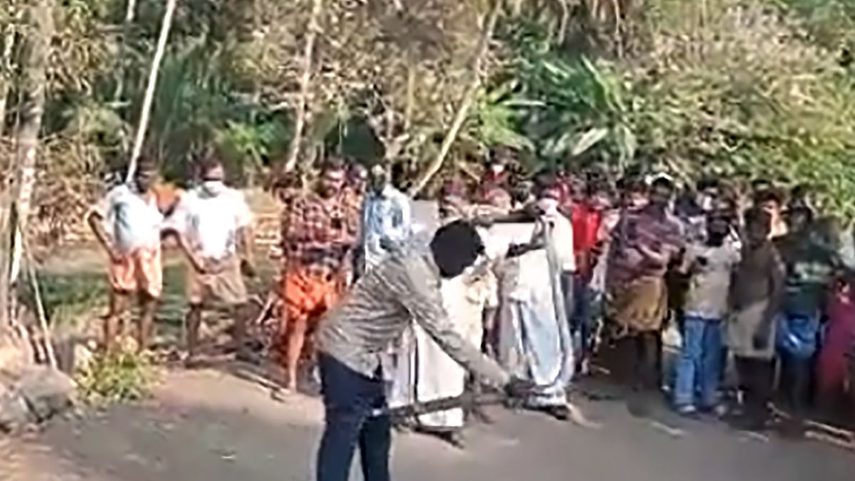 Kobra ugryzła poskramiacza węży Vavę Suresha w udo