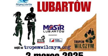 Tropem Wilczym w Lubartowie. Patriotyczny bieg, który łączy sport i historię