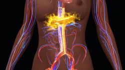 Rak trzustki. Sprawdź, jak zredukować ryzyko 