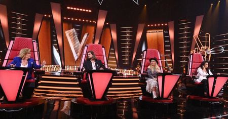 Brzozowski, Rodowicz, Szczepanik. Czy to oni szkodzą "The Voice Senior"? Oglądalność leci na łeb na szyję