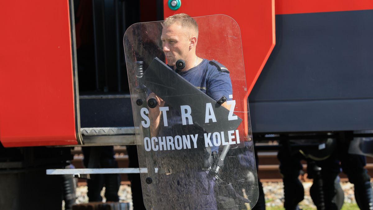 Łódź, 09.09.2026. Szkolenie przewodników psów służbowych Policji oraz Straży Ochrony Kolei, na bocznicy kolejowej POLREGIO w Łodzi, 9 bm. W ramach zajęć policyjni przewodnicy wraz z psami służbowymi kategorii patrolowo-tropiącej będą doskonalić swoje umiejętności w zakresie działań prowadzonych na terenie obiektów kolejowych i w środkach transportu zbiorowego. Psy będą wykorzystywane m.in. do wyszukiwania zapachów materiałów wybuchowych oraz narkotyków. W szkoleniu uczestniczyć będą również przewodnicy wraz z psami służbowymi Straży Ochrony Kolei. (ad) PAP/Marian Zubrzycki