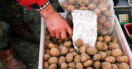Ziemniaczany problem Polski. Tego nikt nie przewidział. "Sygnał"