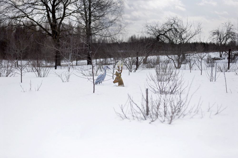 „Jak najdalej od ludzi” - fotograficzna historia tułaczki z rosyjskiej niewoli do domu w Polsce 19