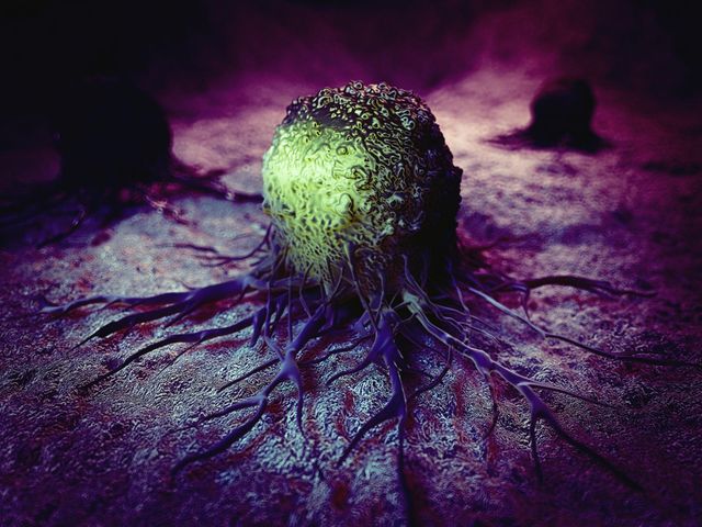 komórka rakowa