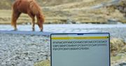 Wyjątkowe wideo reklamuje Islandię. "Szef nie zauważy różnicy"
