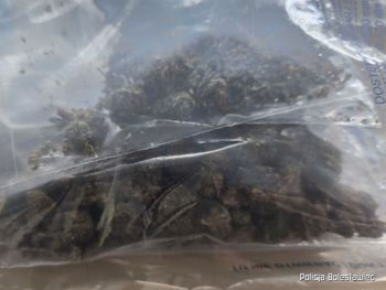 Bolesławiec: Policjanci zatrzymali 39-latka z marihuaną