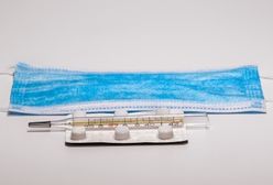 Sosnowiec. Z biblioteki i teatru do sanepidu