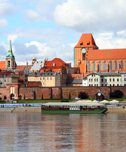 Złe wieści z Torunia. Wyznaczono obszar zagrożony wścieklizną