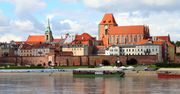 Złe wieści z Torunia. Wyznaczono obszar zagrożony wścieklizną