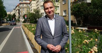 Poznań: Drzewa zamiast betonu i bruku. Kolejne ulice będą zielone