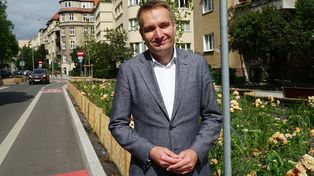 Poznań: Drzewa zamiast betonu i bruku. Kolejne ulice będą zielone