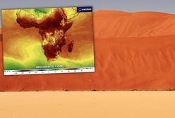 Meteorolodzy alarmują. Czekają nas największe temperatury w historii