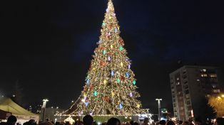 Dąbrowa Górnicza: Plac Wolności rozświetliła bożonarodzeniowa choinka