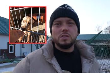 Książulo wsparł schroniska. Tyle przeznaczył na budy dla kotów i psów