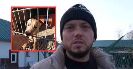 Książulo wsparł schroniska. Tyle przeznaczył na budy dla kotów i psów