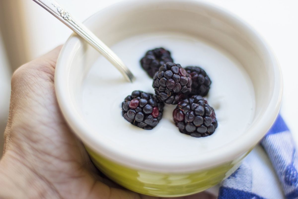 Jogurt grecki to doskonały wybór na  śniadanie