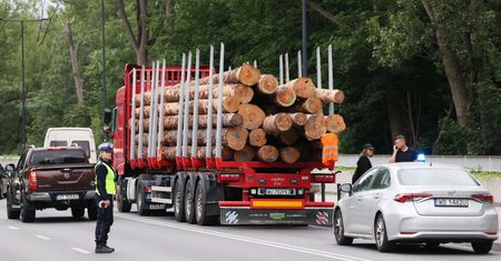 Zmiany w spalaniu drewna. Czym jest energetyczne? Szykują rewolucje