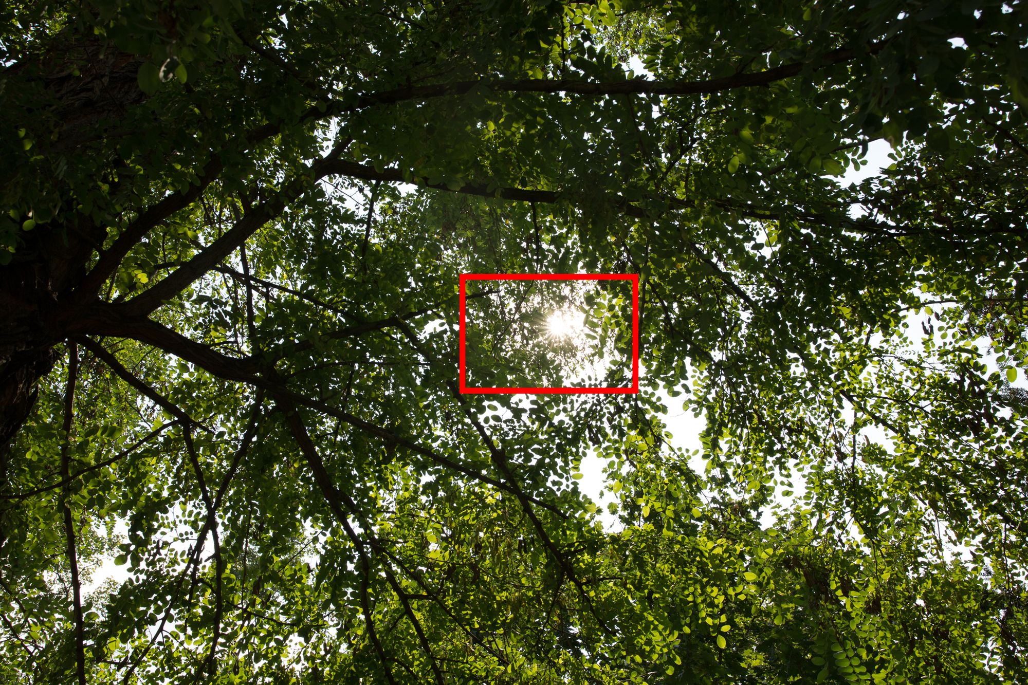 Sigma 24-35 mm f/2 Art - czy jest w stanie zastąpić trzy stałki? [recenzja] 22