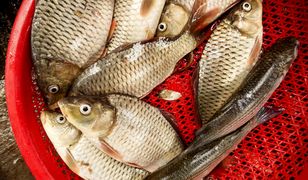 Nietypowe oferta sprzedaży. "Przygotowywane w wigilijny wieczór"