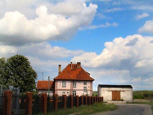 Obraz