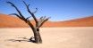 Namibia. Dolina Śmierci