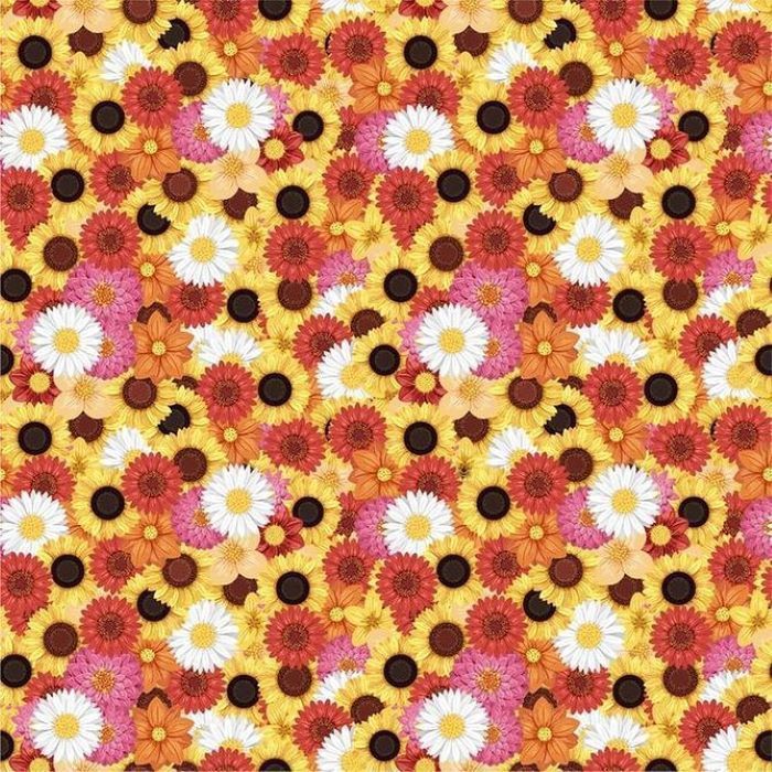 Na obrazku znajdź pszczołę