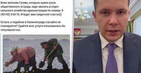 Obwód Kaliningradzki. Drożyzna i puste półki. Proponują mieszkańcom samodzielną uprawę ziemniaków