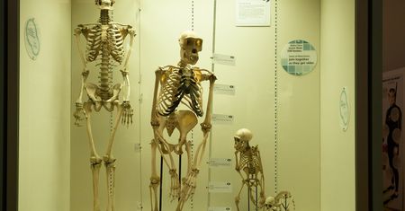 Neandertalczycy toczyli wojnę z ludźmi. Naukowcy mają na to dowody
