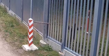 Próbował zniszczyć polskie godło. Strażnicy pokazali nagranie