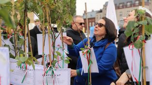 Gorzów: Reneta landsberska podbiła miasto. Sadzonki rozeszły się w kilkadziesiąt minut