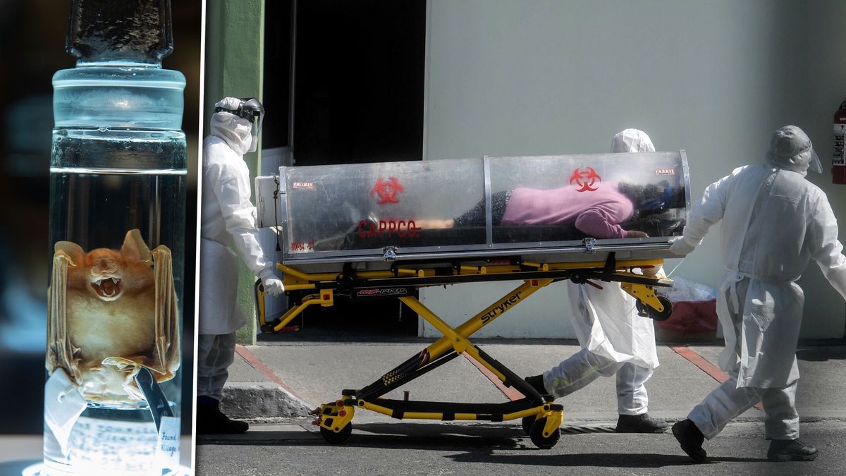 Chińczycy zidentyfikowali nowego koronawirusa