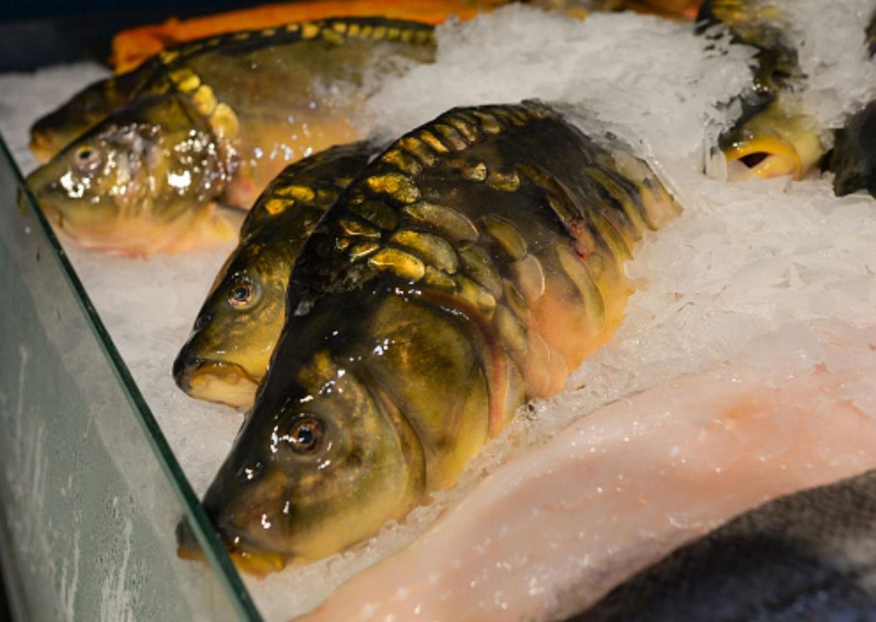 Na co zwrócić uwagę, wybierając mrożone ryby? Przydatne oznaczenia