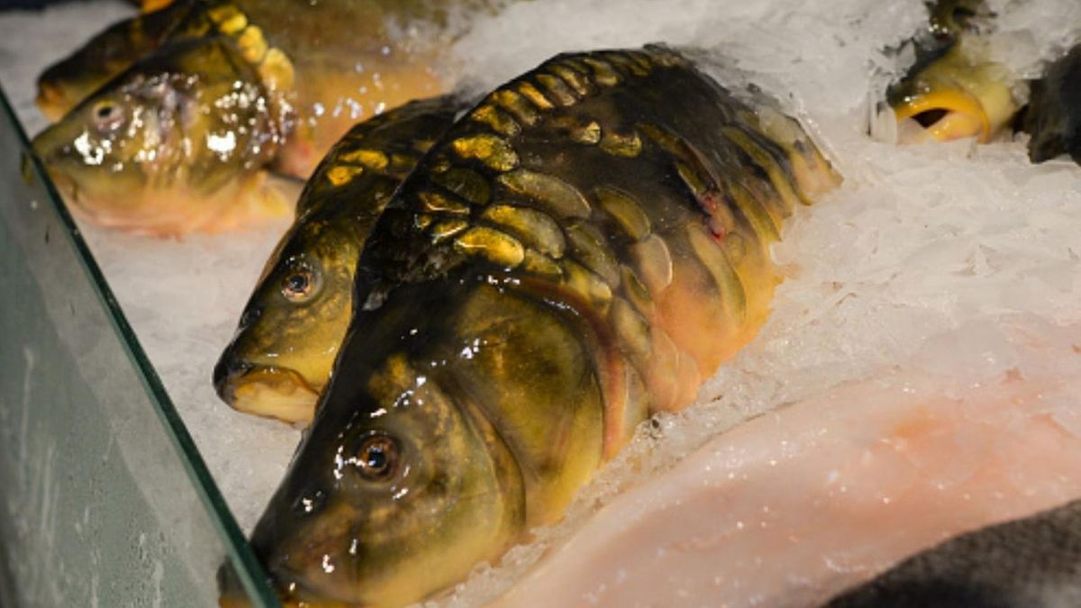 Na co zwrócić uwagę, wybierając mrożone ryby? Przydatne oznaczenia 