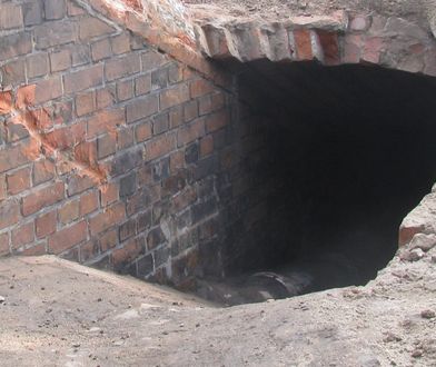 Toruń. Niezwykłe odkrycie podczas prac drogowych