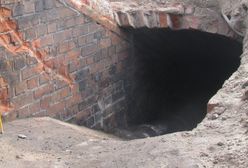 Toruń. Niezwykłe odkrycie podczas prac drogowych