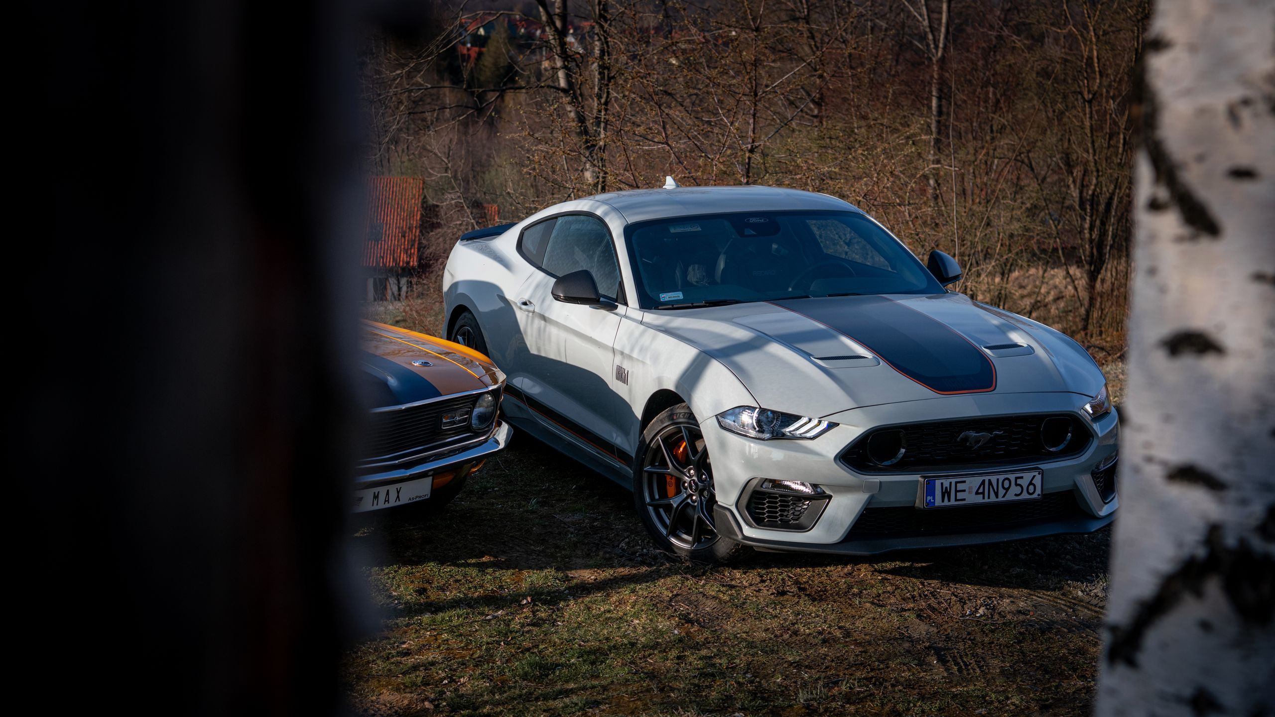 Ford Mustang Mach 1 vs. Mustang Mach 1 428 Cobra Jet