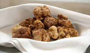 Wyjątkowe grzyby na aukcji. Sprzedano je za pół miliona złotych