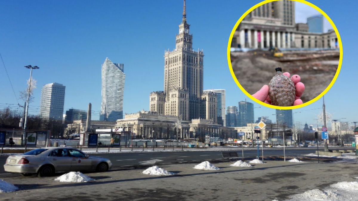 Takie odkrycie to prawdziwa świąteczna niespodzianka