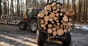 Surowiec strategiczny. Chcą zakazu wywozu polskiego drewna poza UE