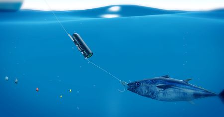 Wędkarstwo też może być smart. Podwodna kamera GoFish Cam