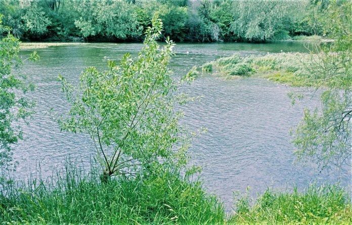 Tragedia nad rzeką w Kętach. Nie żyje 80-letnia kobieta, która wyszła pielić chwasty