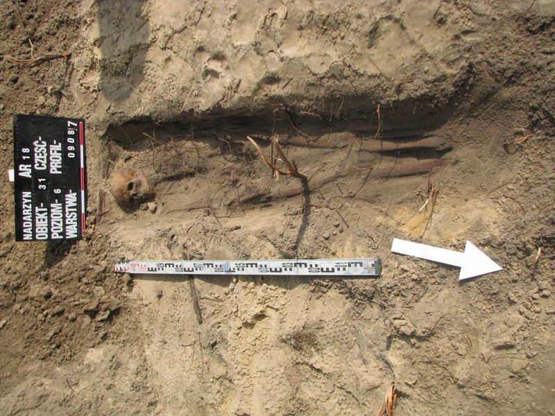 Odkrycie archeologiczne na budowie drogi ekspresowej S8