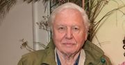 David Attenborough ma 96 lat. Twierdzi, że długowieczność to zasługa wykluczenia tego produktu