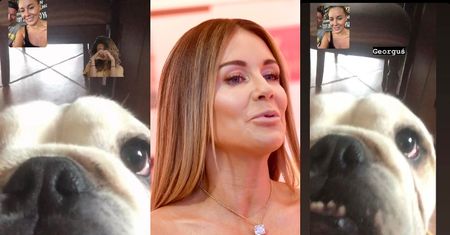 Małgorzata Rozenek USYCHA z tęsknoty za czwórką psów: "CODZIENNIE rozmawiamy z nimi na Facetime"